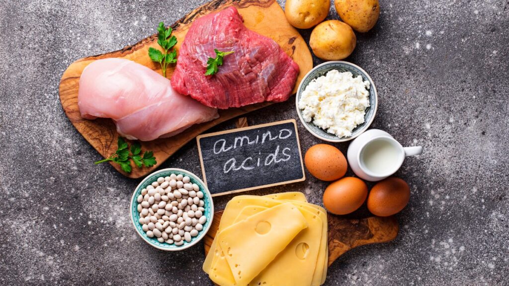 amino acid therapy autism