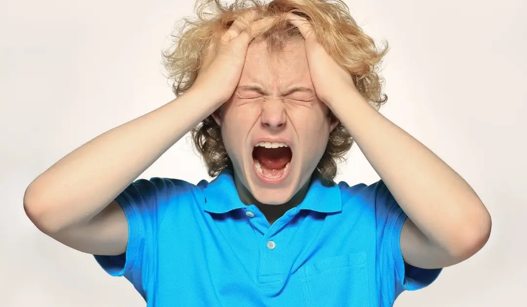 autism and anger in adolescence